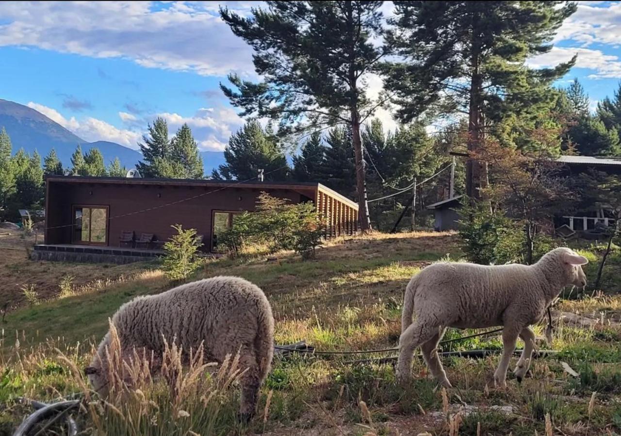 Turismo Y Cabanas Dragon De La Patagonia Appartement Cochrane Buitenkant foto